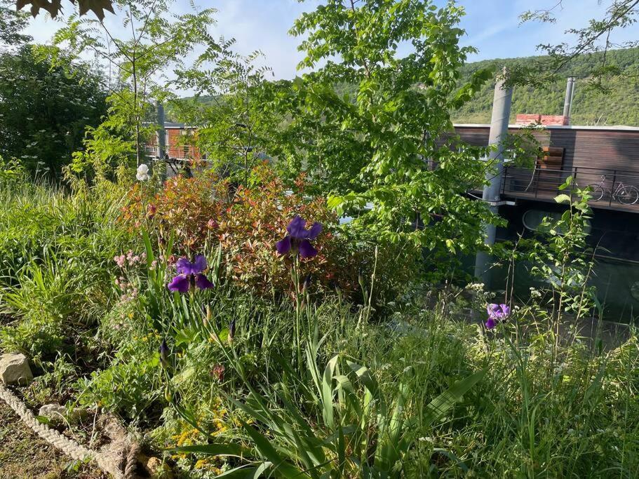 Maison Fleurs De Lys, Climatisee, Wifi Et Parking Privee Gratuit, Lave-Linge, Vernon Giverny المظهر الخارجي الصورة